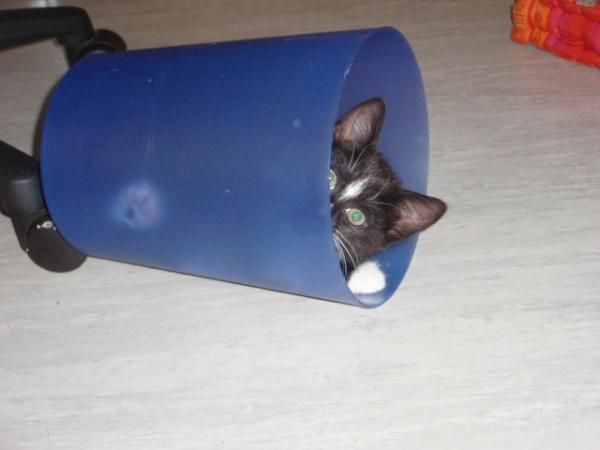 ..Justy im Eimer! ;-)