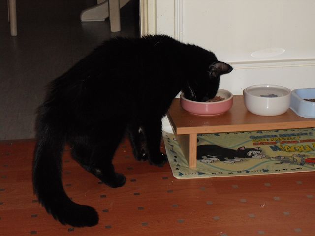 k Bonnie, 6.3.2010 103