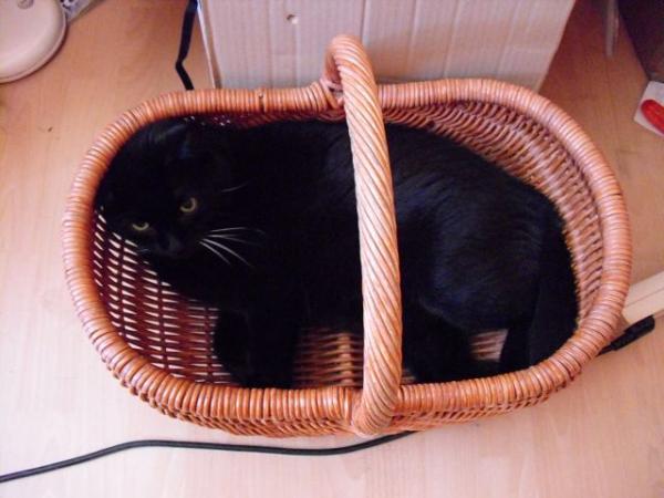 k Cam Bilder 29.6.09 023