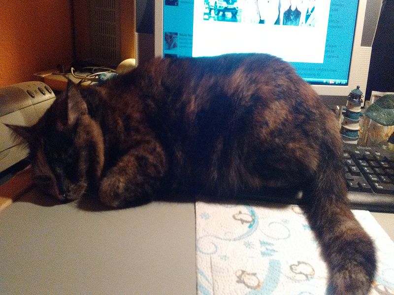 k user31950 pic14584 1482863877