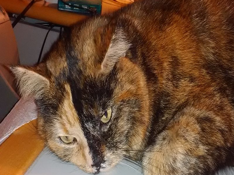 k user31950 pic14585 1482863955