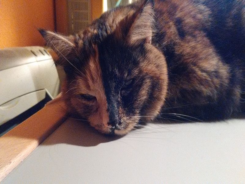 k user31950 pic14587 1482864180