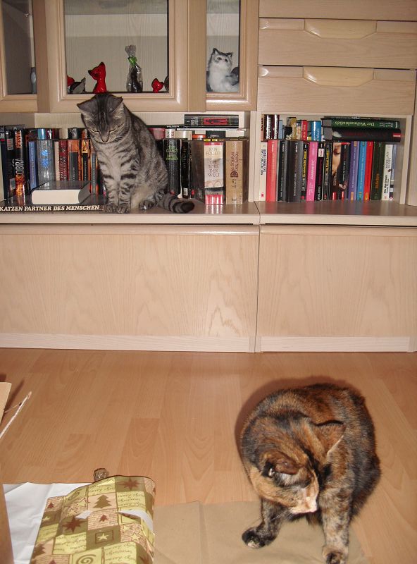 k Weihnachtswichteln 010