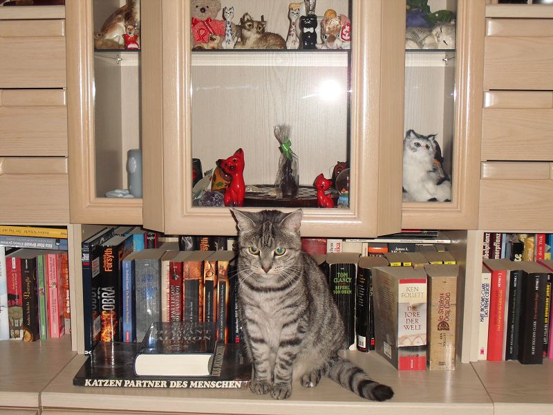 k Weihnachtswichteln 011