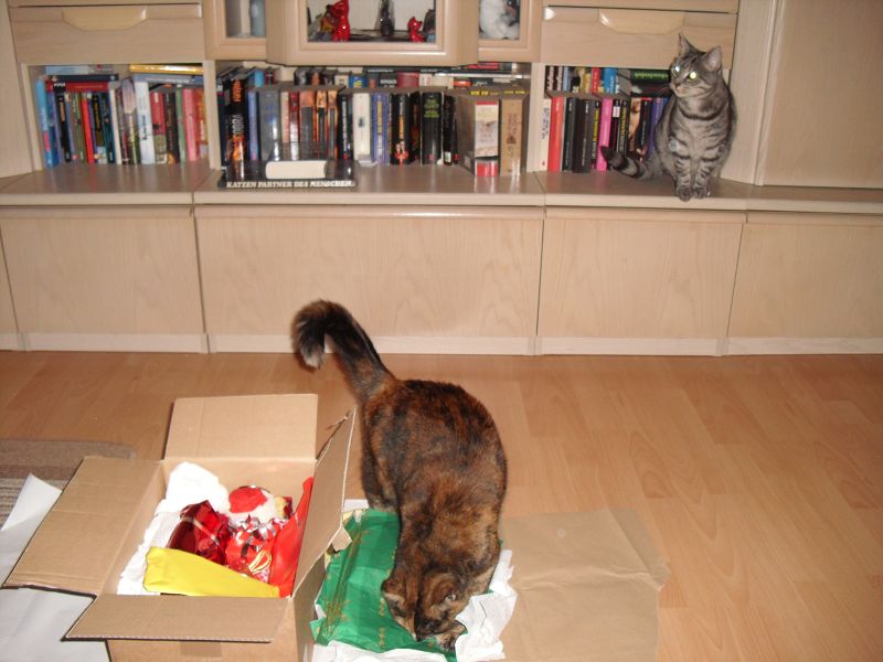 k Weihnachtswichteln 013