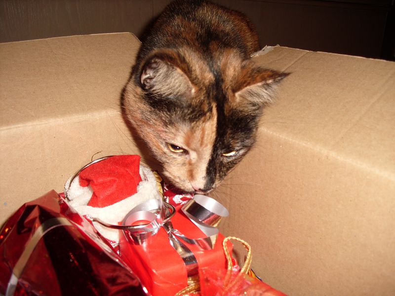 k Weihnachtswichteln 017