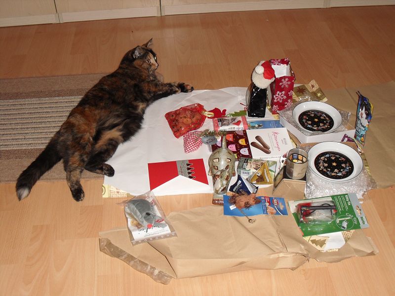 k Weihnachtswichteln 038