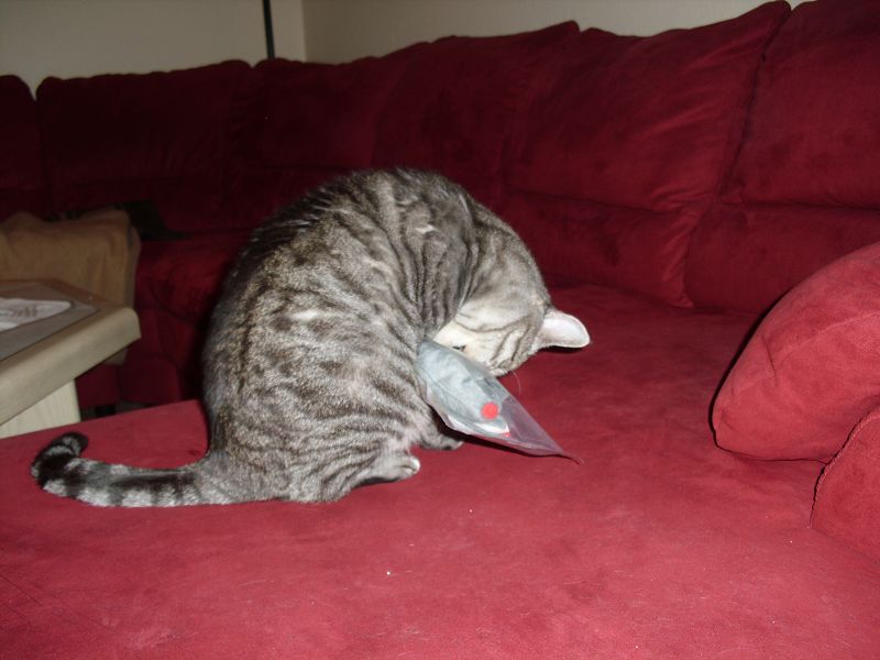 k Weihnachtswichteln 041