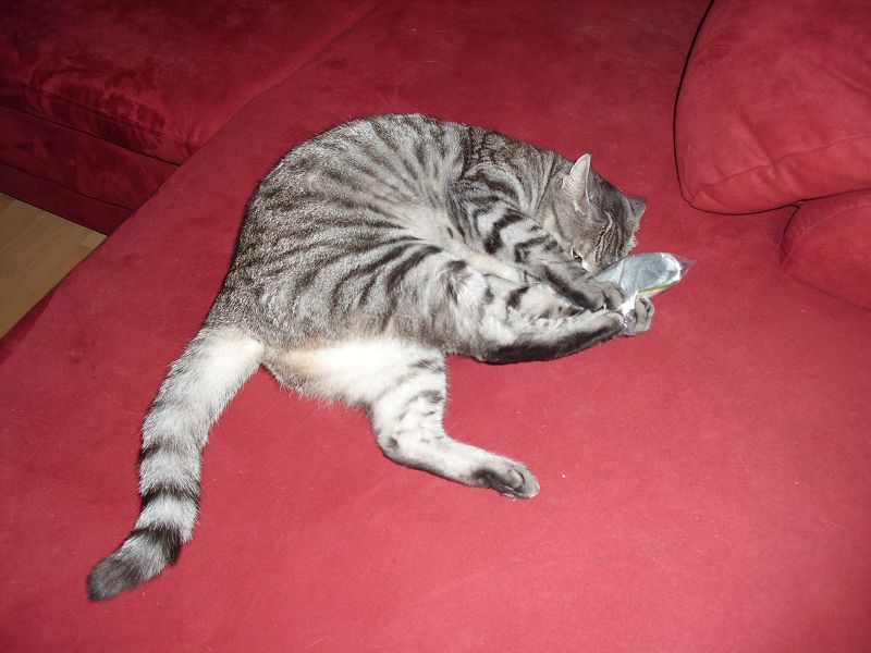 k Weihnachtswichteln 043