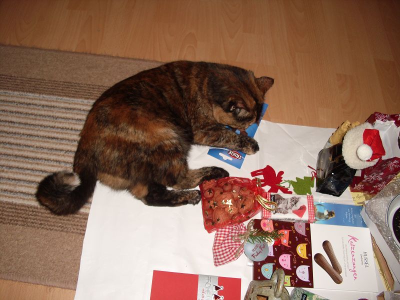 k Weihnachtswichteln 046