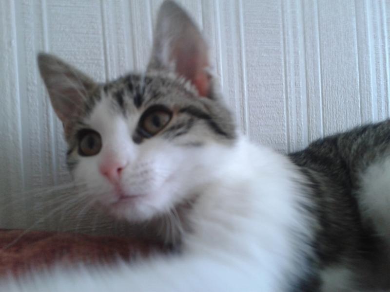 kämpfen ihre stärke