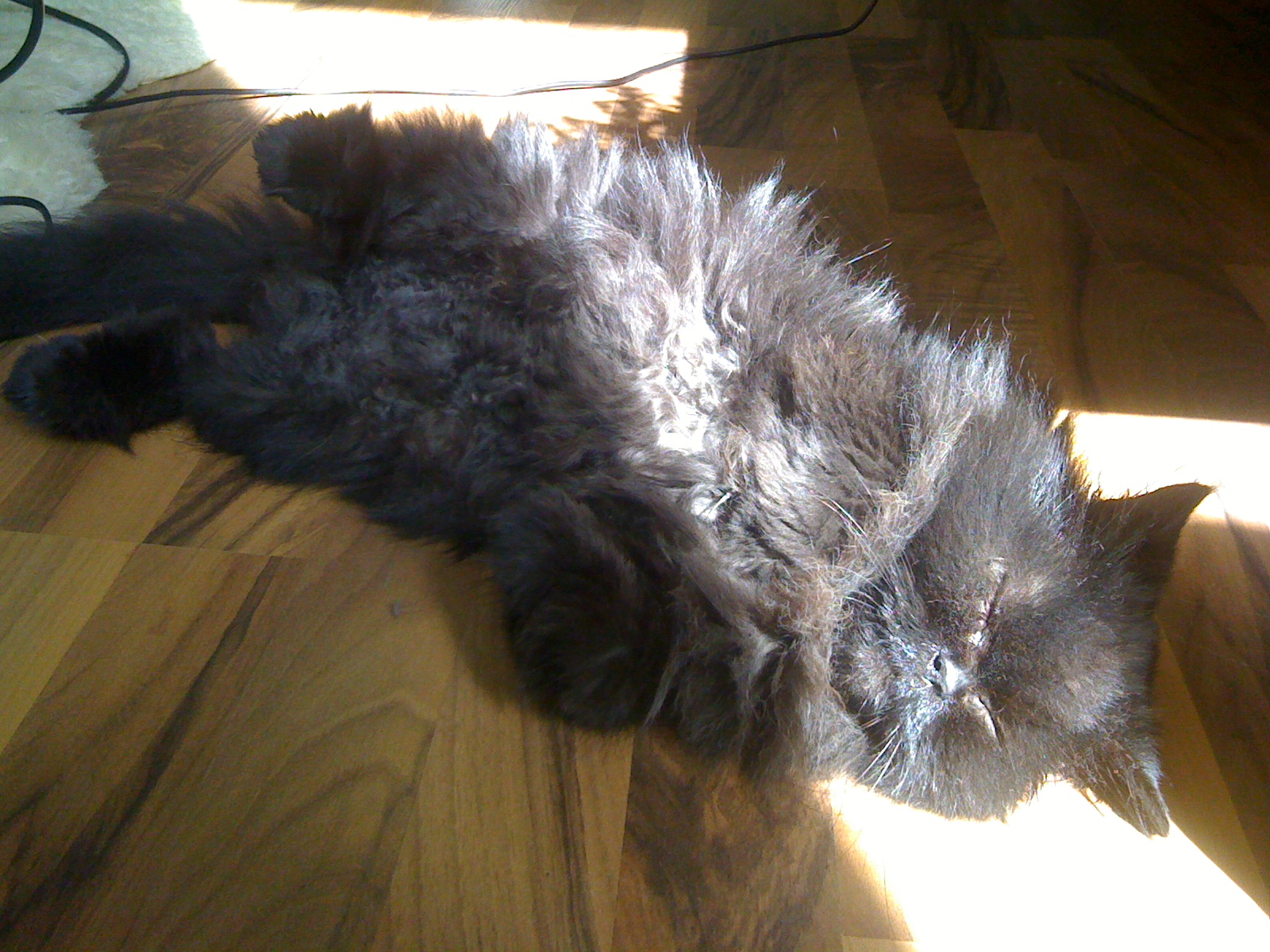 ..kann auch ein Yeti sein...