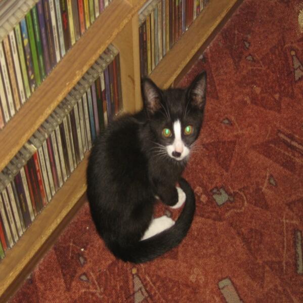 kann man bei diesen Augen "NEIN" sagen, ich nicht!