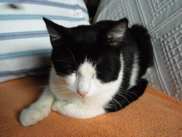 Kasimir,aber nicht der Vater der Kleinen