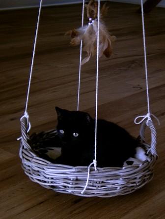 Katzenschaukel