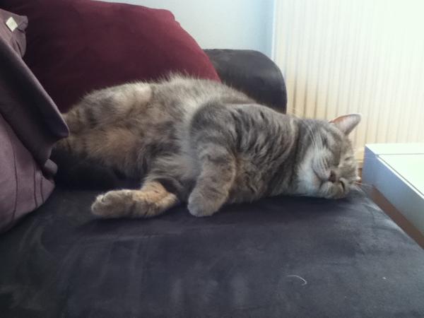 Keine Beschreibung nötig. ^^