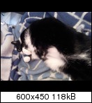 Kikki - Unsere Prinzessin