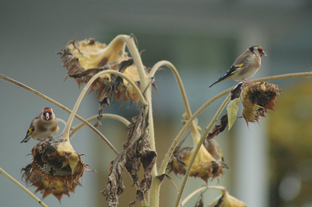 ...klasse Fernsehprogramm heute