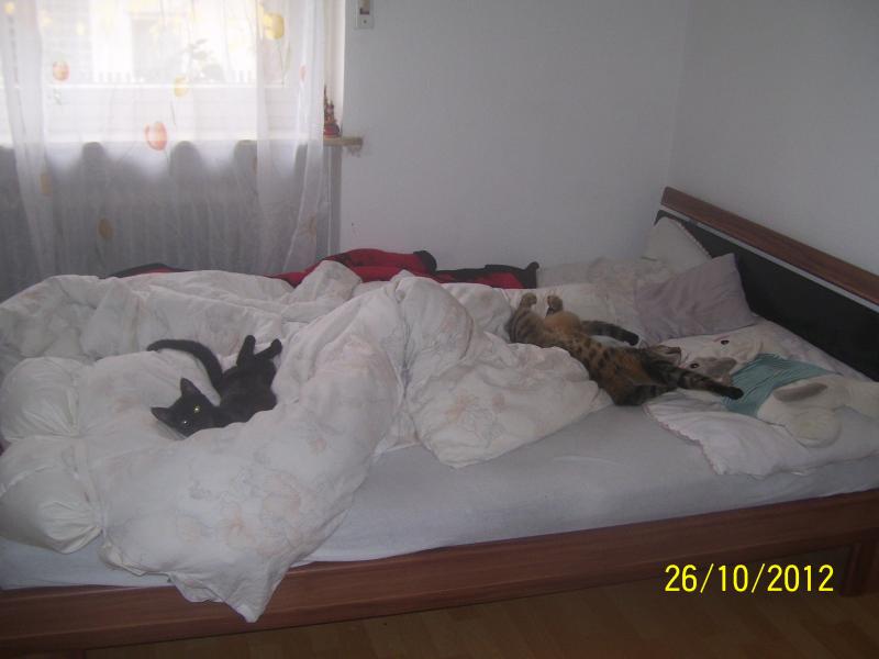 klein Loki ahmt Hugo nach ^^