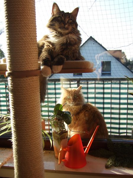 Knopf draußen &amp; Sammy drin