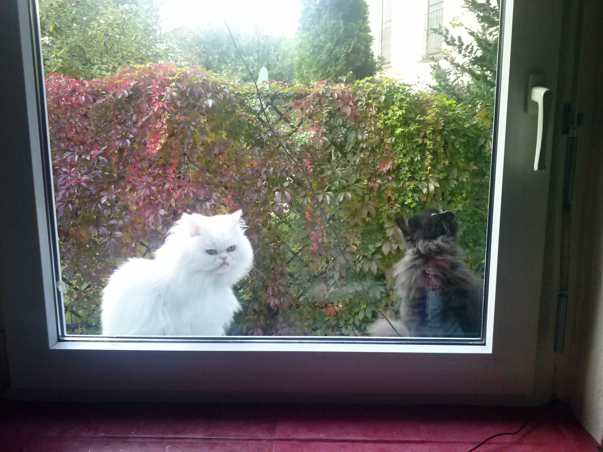 Komm raus,kannste reingucken