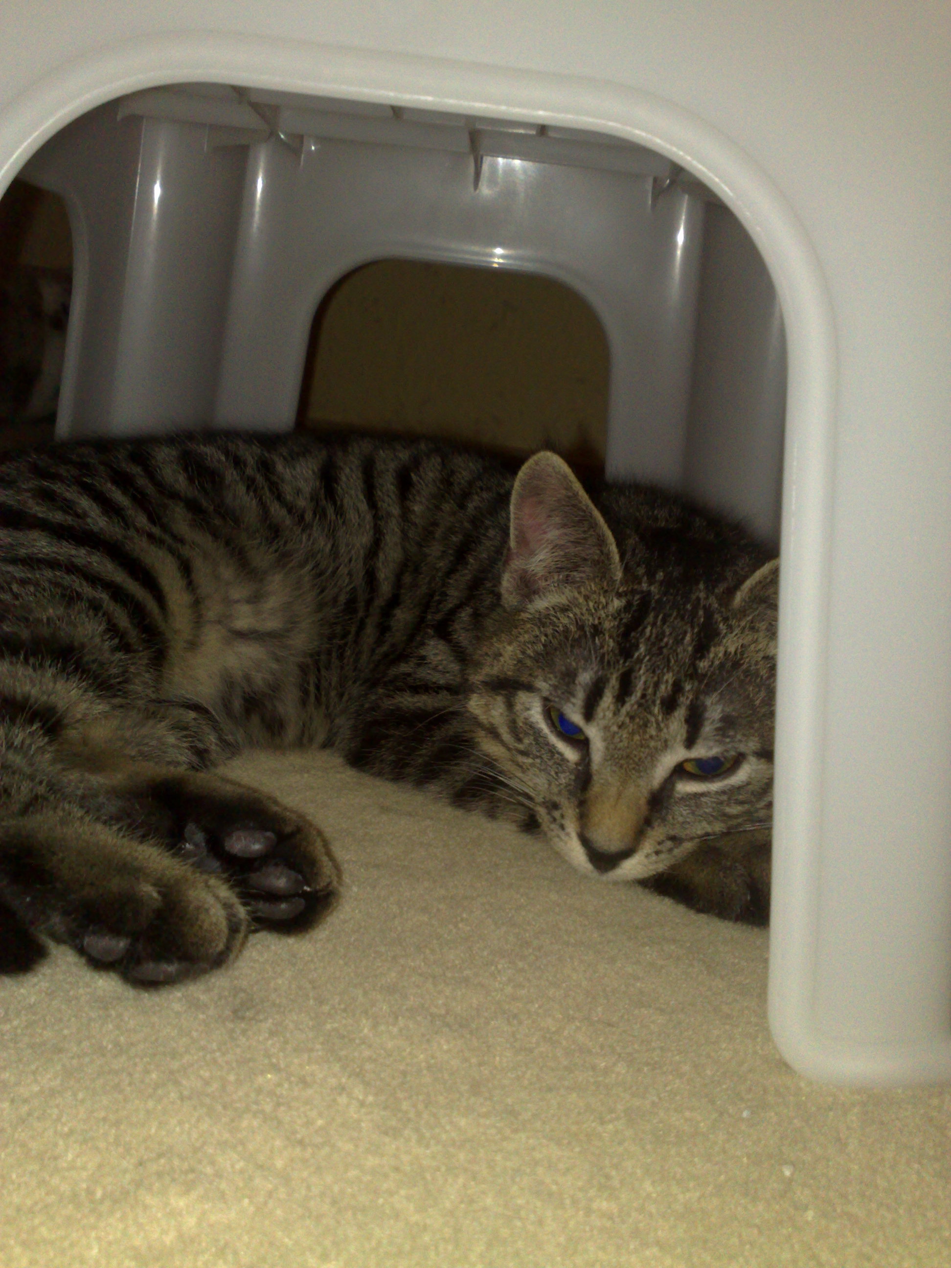 Kopie von Maya und Thommy bis 09.01.2014 003