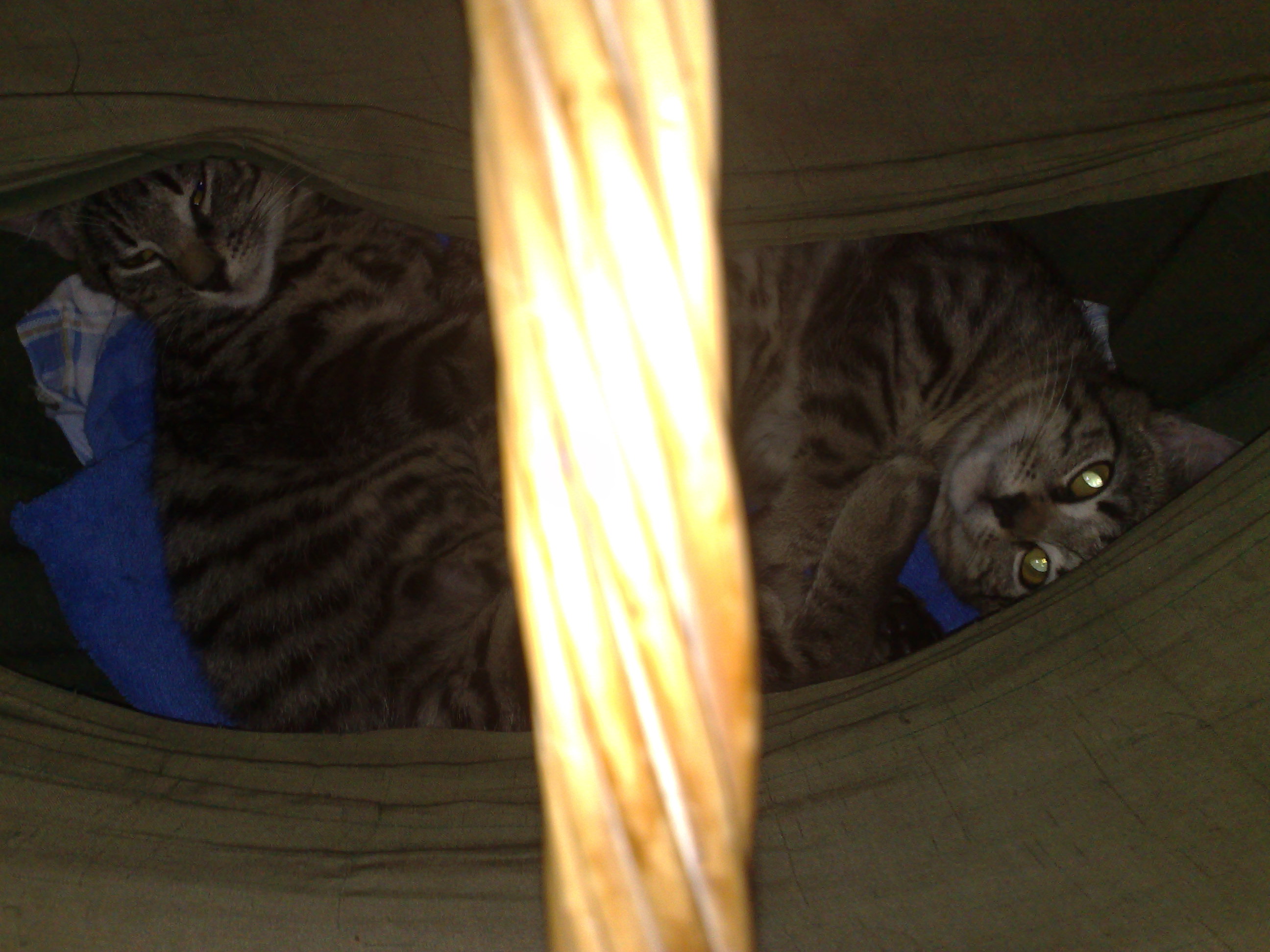 Kopie von Maya und Thommy bis 09.01.2014 020