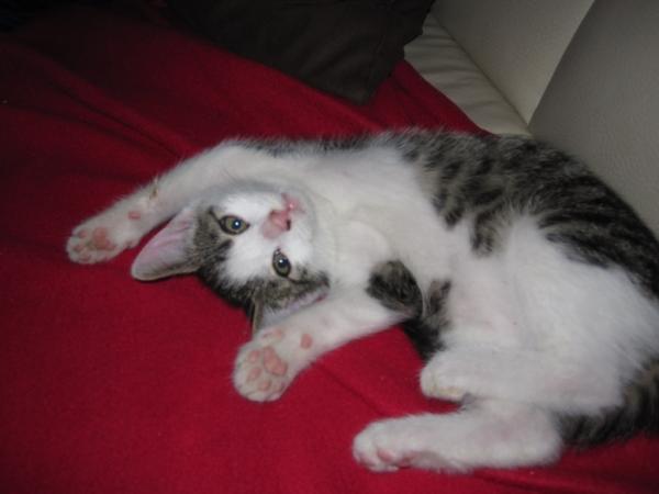 Krauleeeeen - worauf wartest du denn noch?!