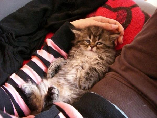 Krümel schläft in meinem Arm