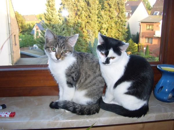 kurz nachdem die beiden einzogen....