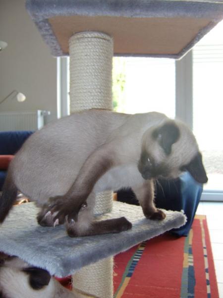 leg Dich nicht mit mir an *grrr*