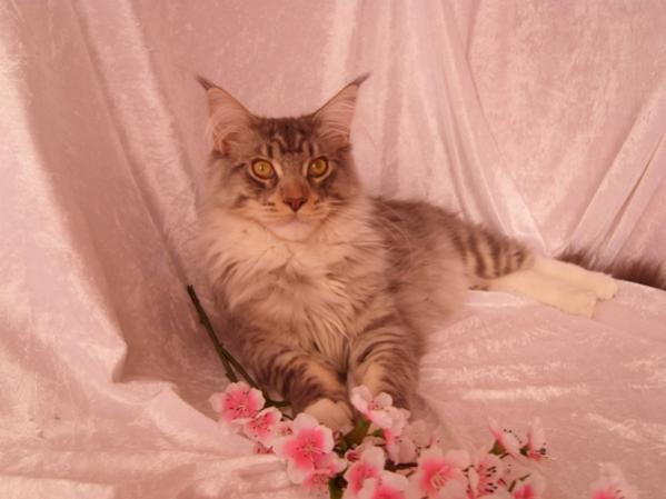 Leon als Blumenjunge