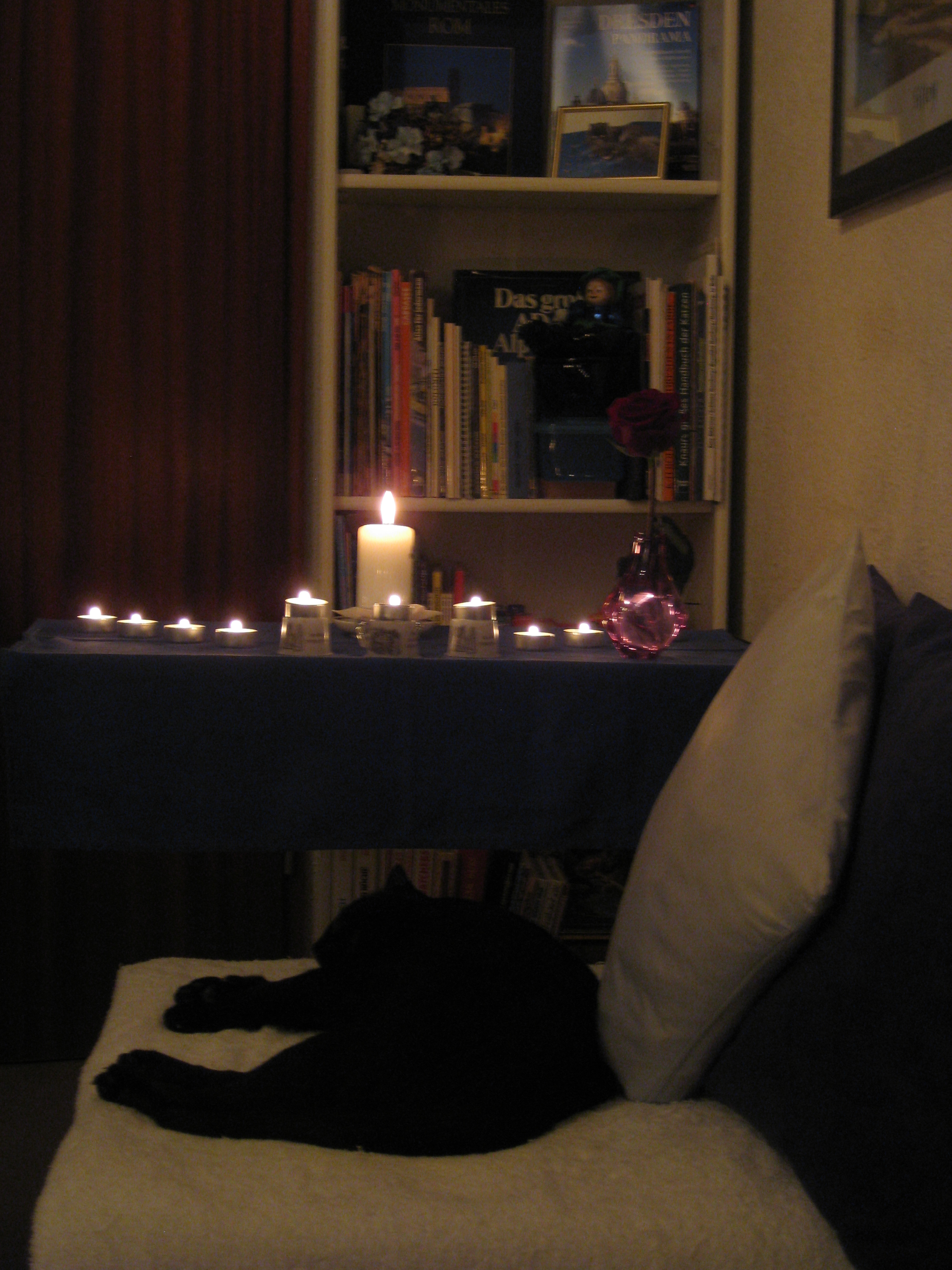 Letzter Tag 14.10..2013, Einäscherung 011