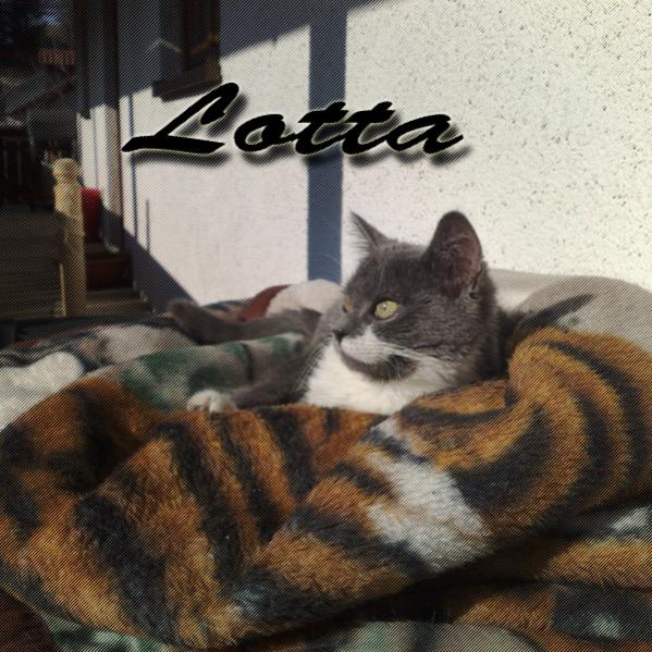 Liebe auf den ersten Blick