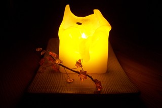 Liebe Loulou !

Seit genau einem Jahr bist du nicht mehr bei uns und wir denken immer noch jeden Tag an dich. 
Wir hoffen, dass der Weg über die Regenbogenbrücke  nicht zu schwer für dich war. Wir wissen, dass es dir jetzt dort oben gut geht und du nicht mehr leiden musst. 

Für immer wirst du ein Platz in unserem Herzen haben. 
Pass ein bisschen auf deine Dosis von da oben auf.....

Deine dich liebenen
Sandra + Ralf