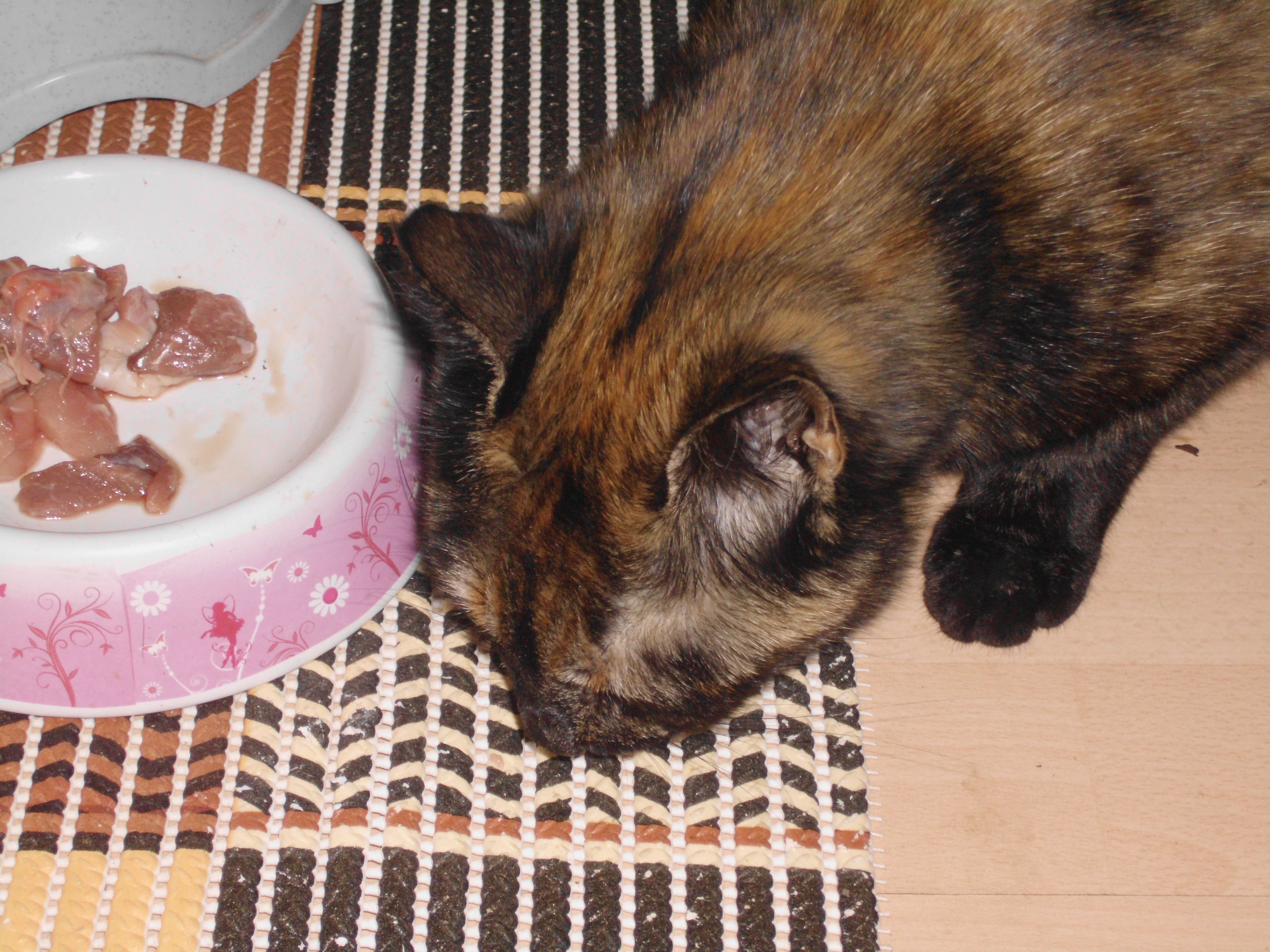 Lieblings-Freß-Freß