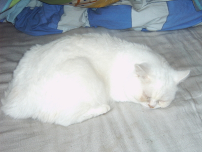 Lieblingsbeschäftigung: ZZzzZZZ