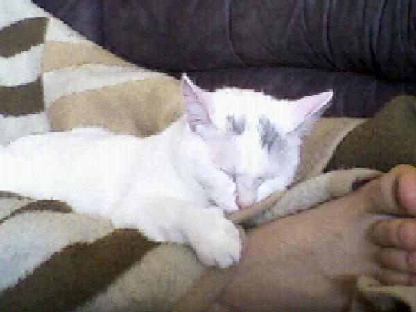 lili als sie noch jünger war!