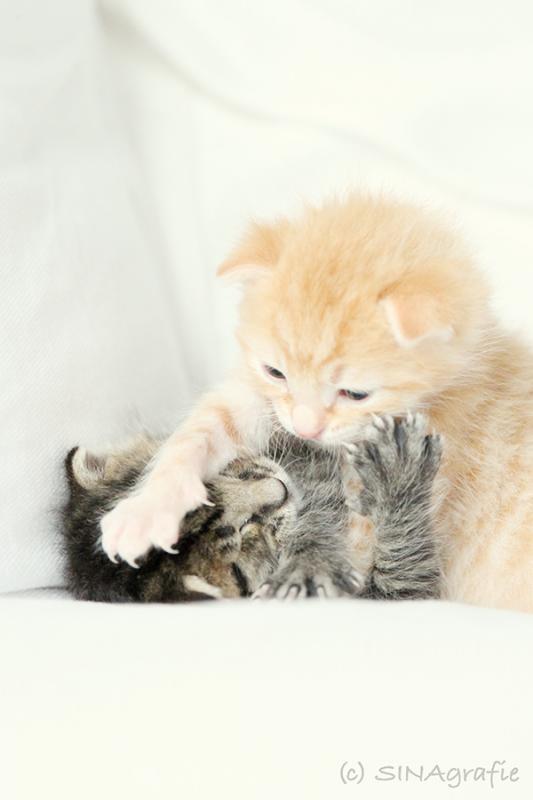 Lille &amp; Fino (c) Sina Jakubzig