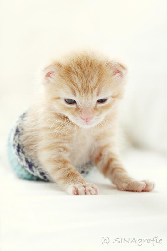 Lille &amp; Fino (c) Sina Jakubzig