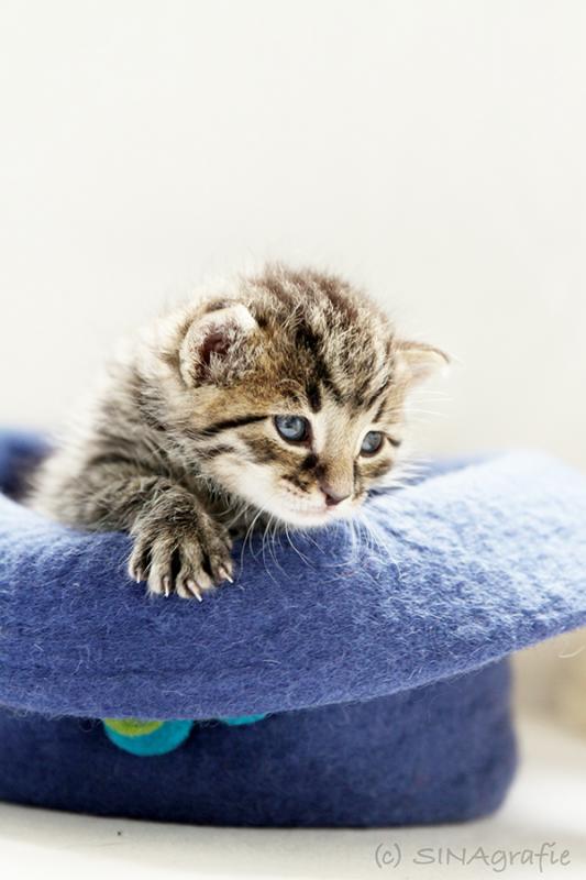 Lille &amp; Fino (c) Sina Jakubzig