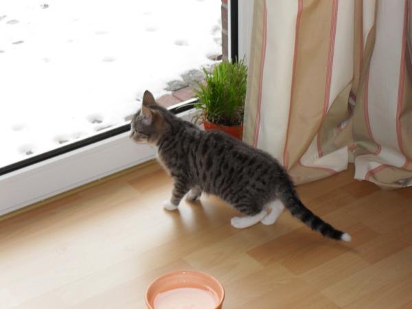 Lilly - oh, da sind Vögel