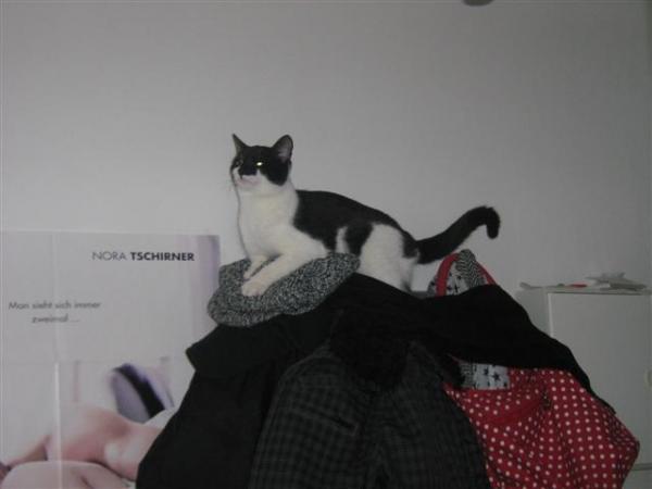 Lina als Gipfelstürmer