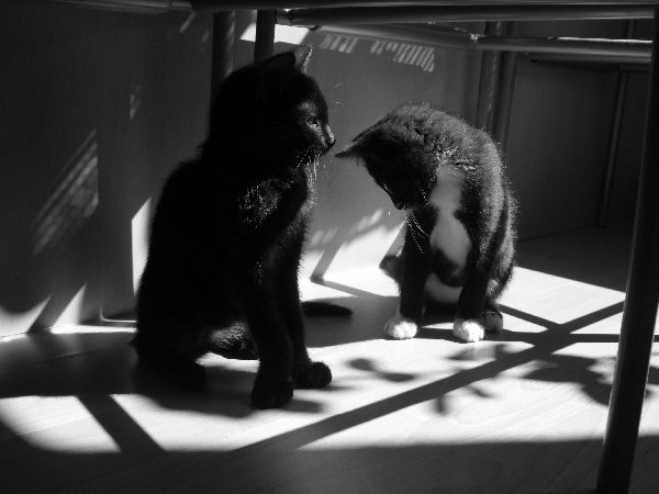 links Sheyla, rechts der kleine wilde Tommy