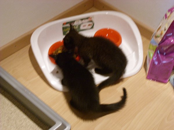 links Sheyla, rechts Tommy