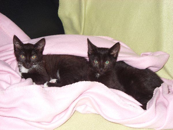 links Tommy, rechts Sheyla