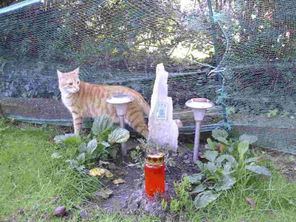 Lisa, 16 Jahre, Ich vermisse dich immer noch so sehr.