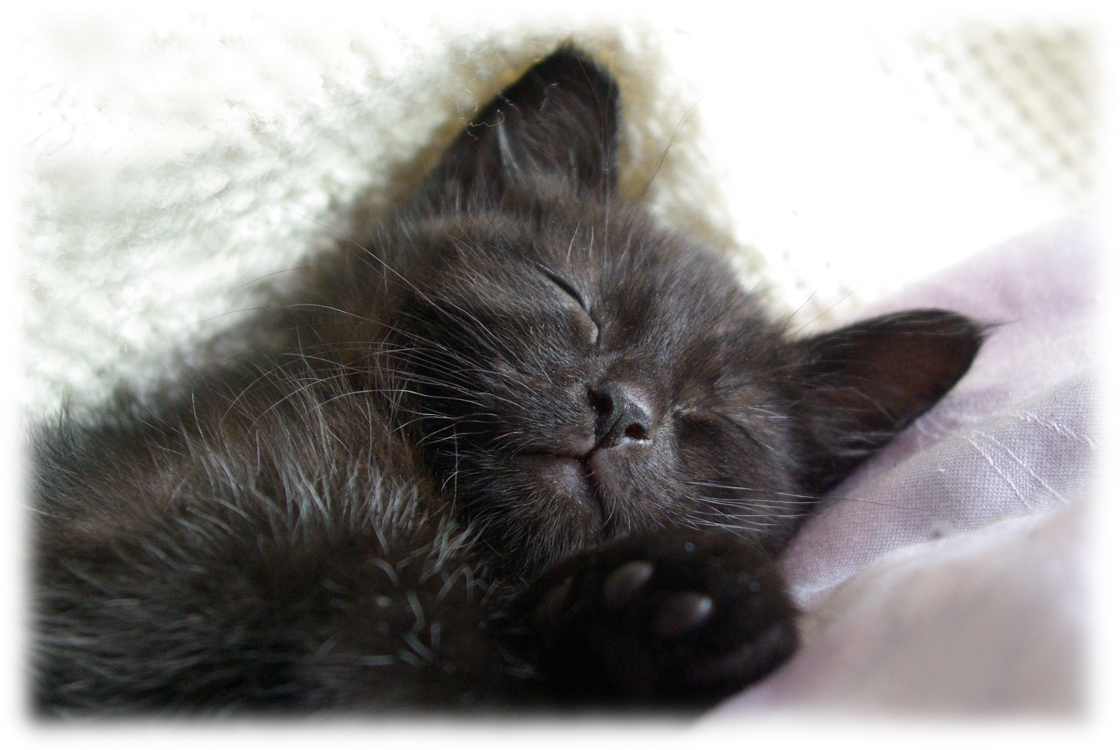 Lordi noch ganz klein...