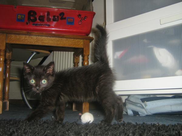 Lucy noch ganz klein