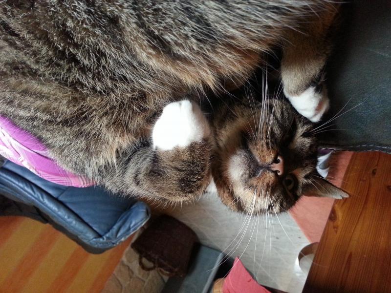 luna total entspannt